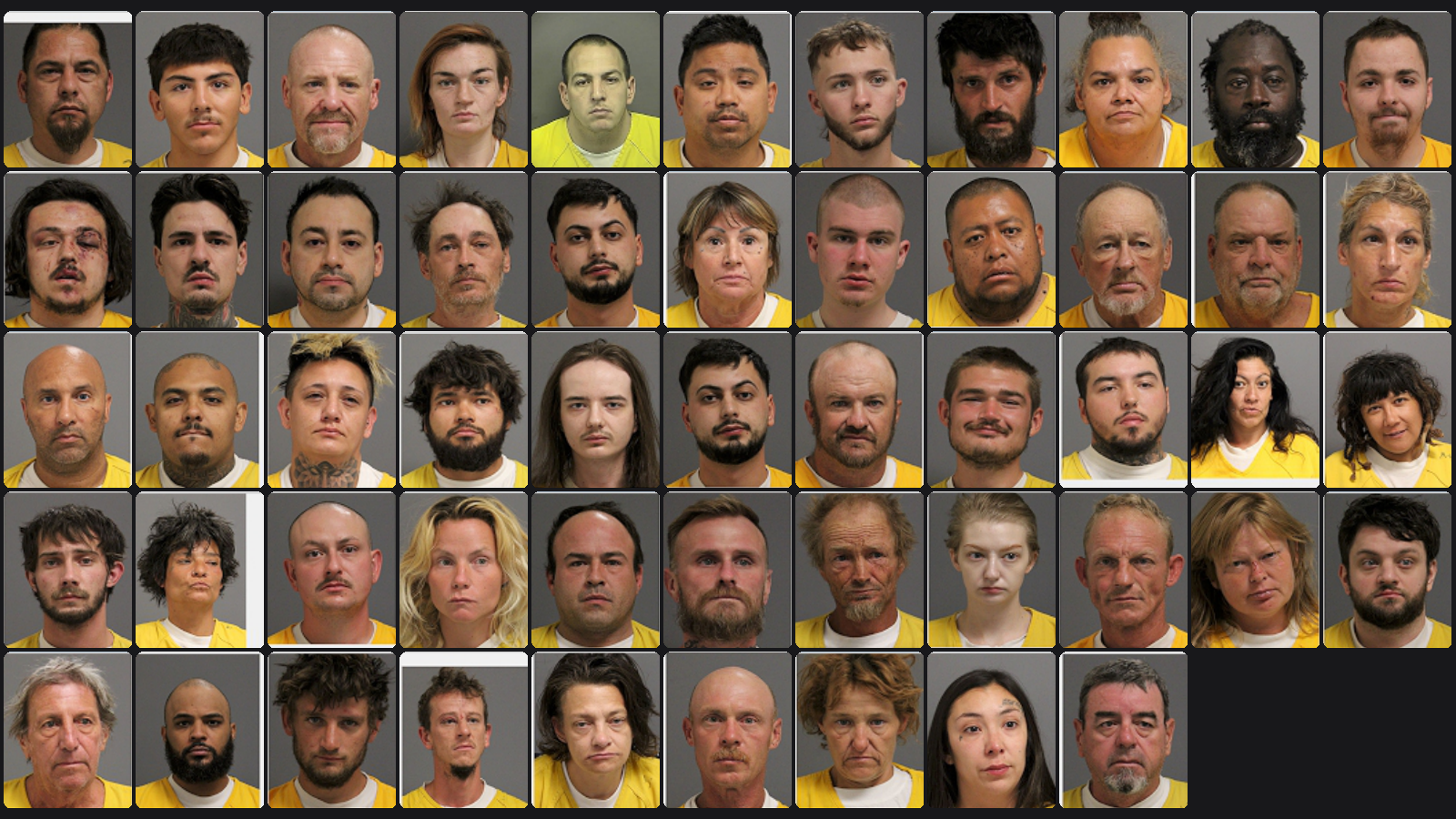 Weekly Jail Bookings for 8/2/26 to 8/8/26