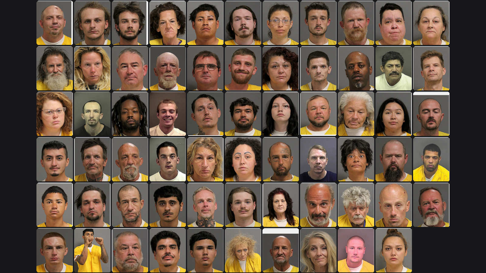 Weekly Jail Bookings for 8/9/26 to 8/15/26