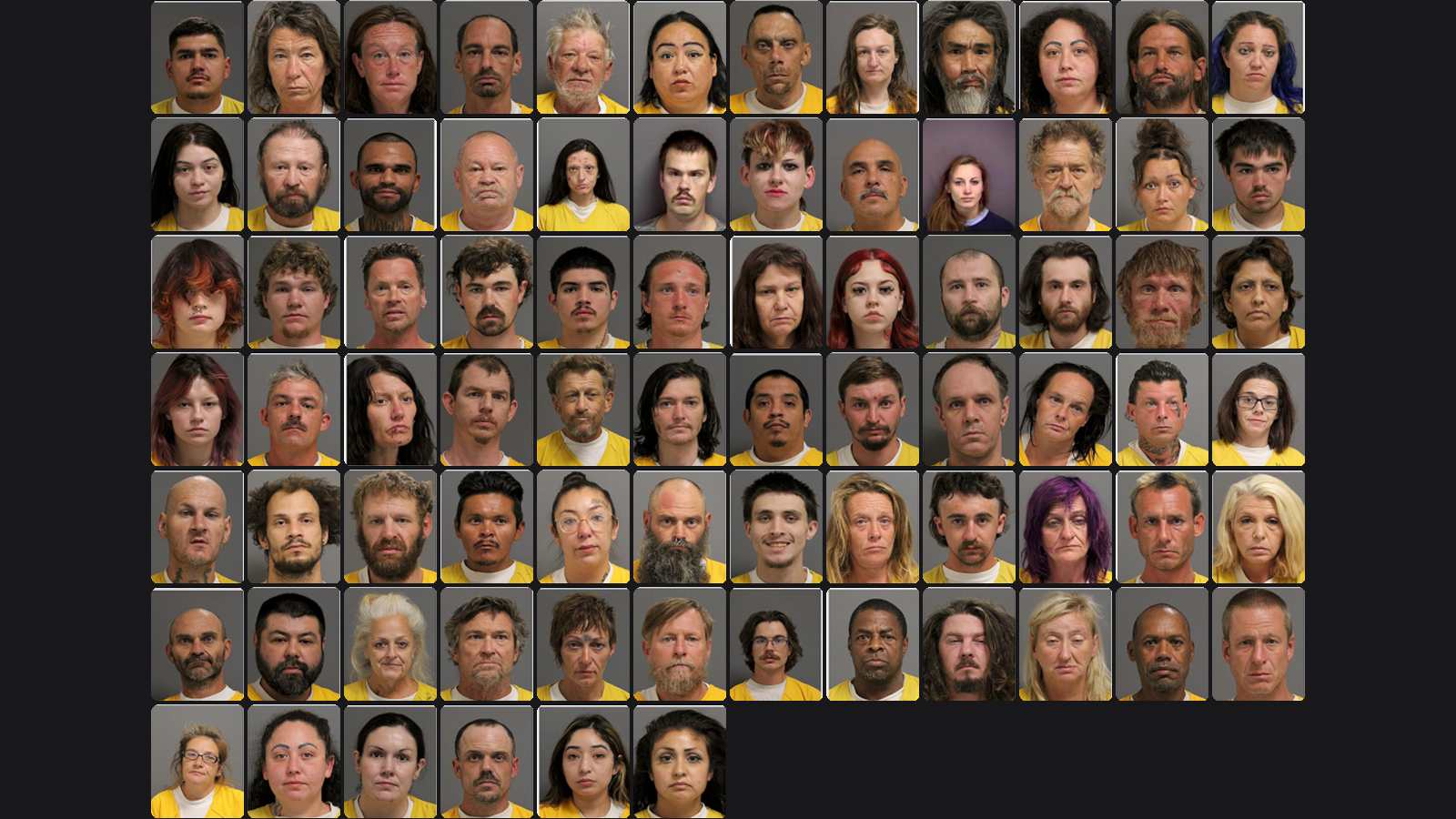 Weekly Jail Bookings for 8/16/26 to 8/22/26