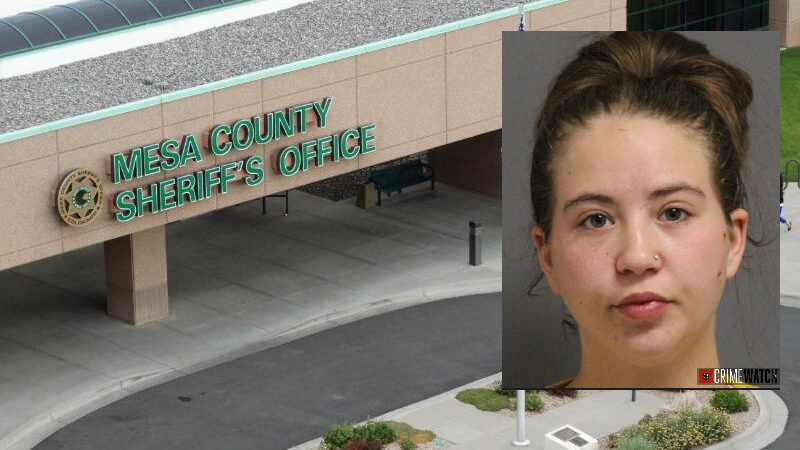 Woman Arrested for Using Stun Gun During Assault