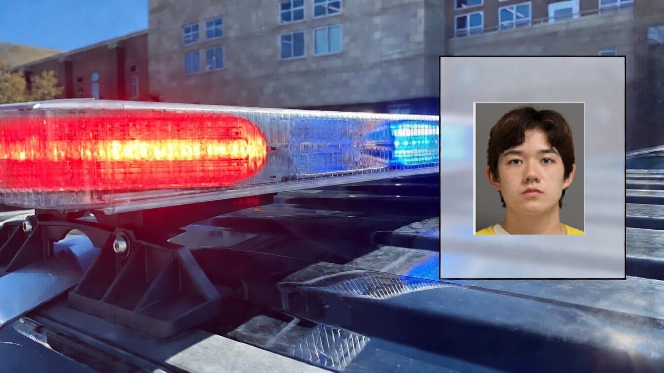 Fleeing Suspect Jailed on Robbery and Domestic Violence Charges