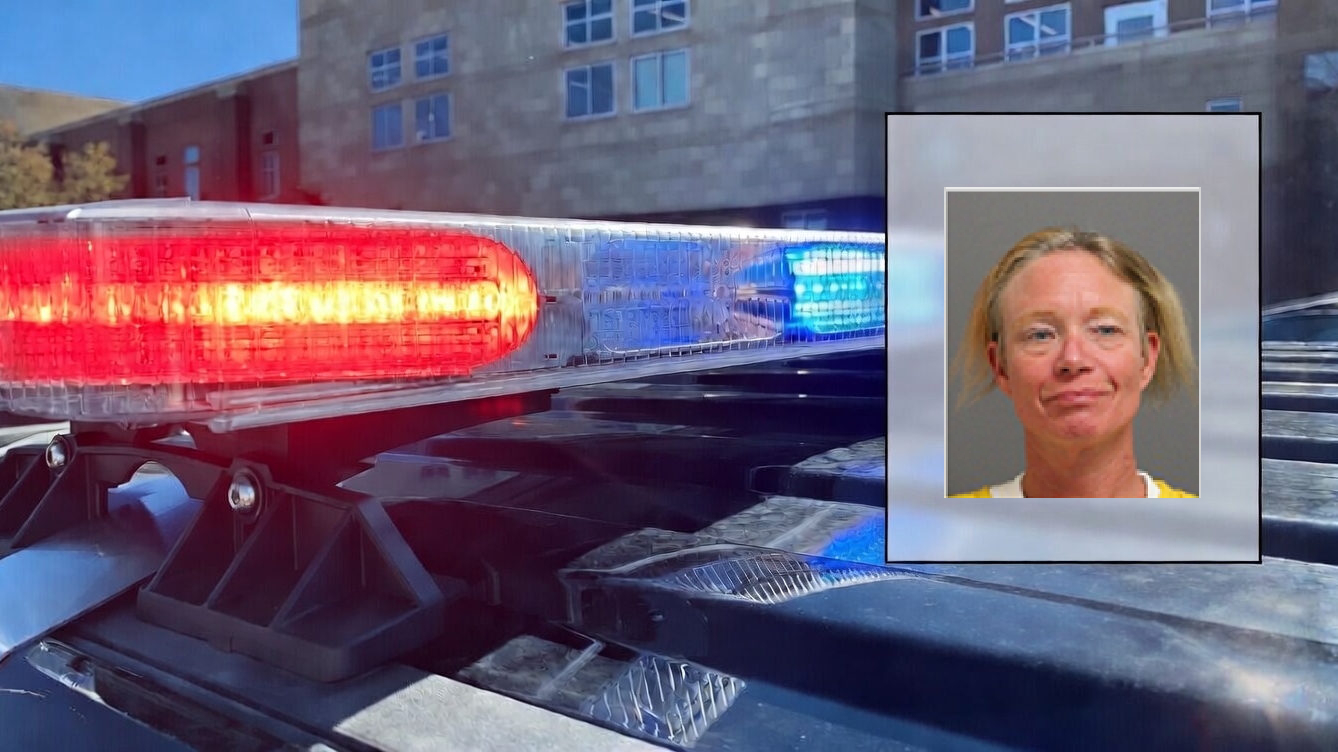 High-Risk Traffic Stop Results in Arrest of Suspected Car Thief