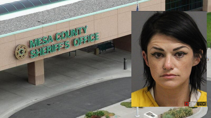 Drug Discovery Leads to Arrest on Clarinet Lane