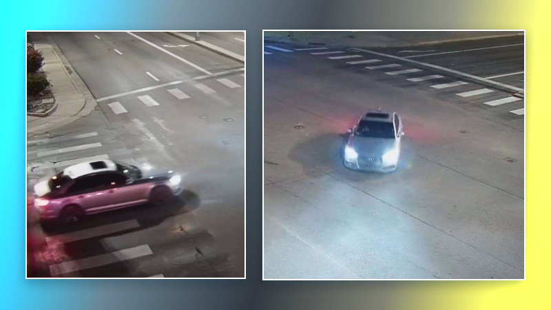 Police Seek Vehicle in Pedestrian Hit-and-Run