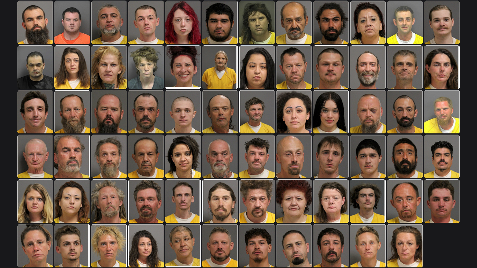 Weekly Jail Bookings for 10/4/26 to 10/10/26