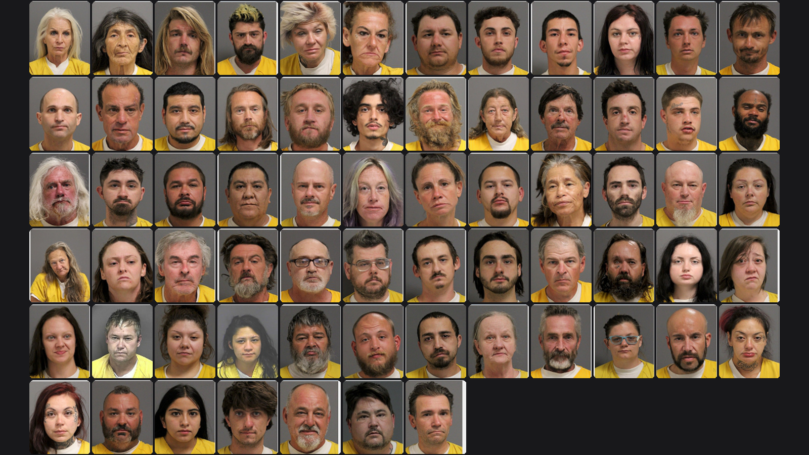 Weekly Jail Bookings for 10/11/26 to 10/17/26
